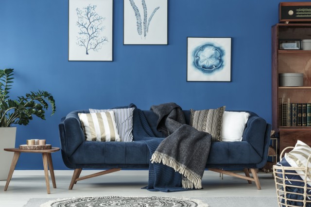 a bold living room with a bright blue painted accent wall with simple decor and a velvet couch